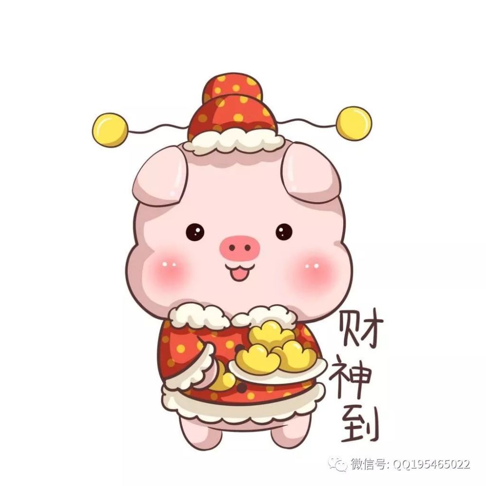 2019年 生肖猪各方面运程预测 事业财运非常旺