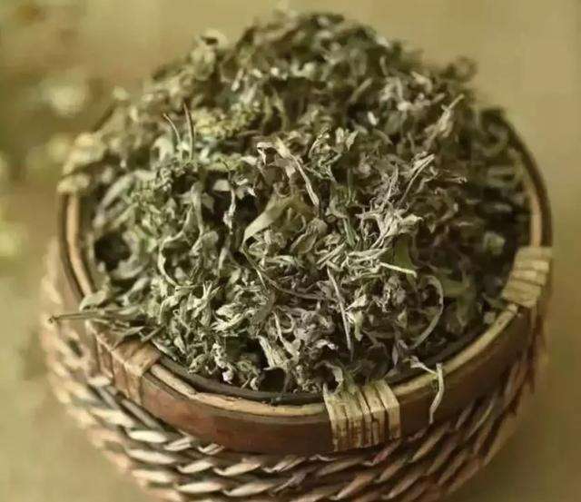 这草是女性天然养身草,去湿寒治痛经,清明节前