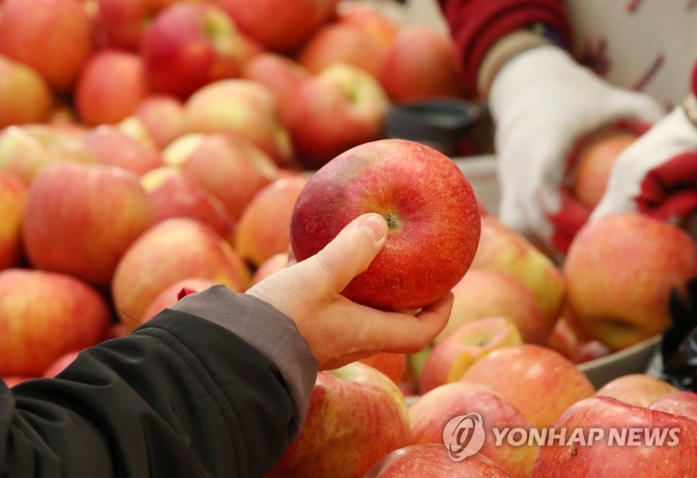 过年了!韩国人扎堆赶集买年货 水果年糕最抢手