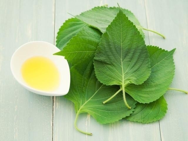 满月儿子吃完母乳后离世,丈夫到医院得知真相