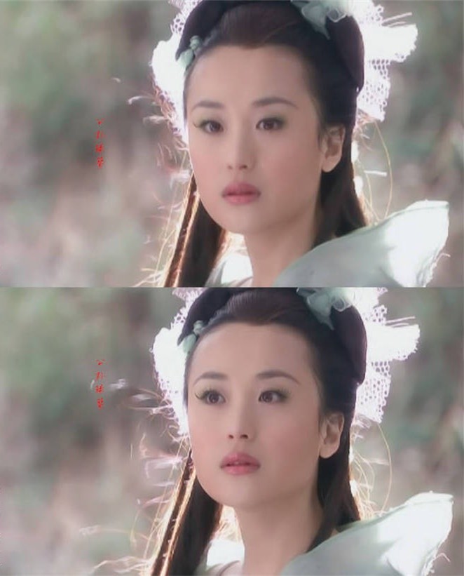 她曾在电视剧《神雕侠侣》中,与黄晓明,刘亦菲合作,饰演了公孙绿萼