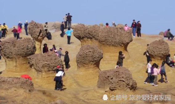 台湾旅游过春节,刚下飞机就面临20万罚款,罪魁