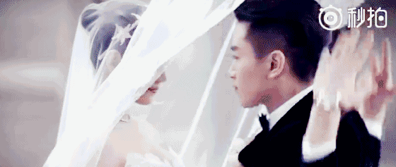 陈晓陈妍希婚纱吻动图_陈晓婚纱吻动图