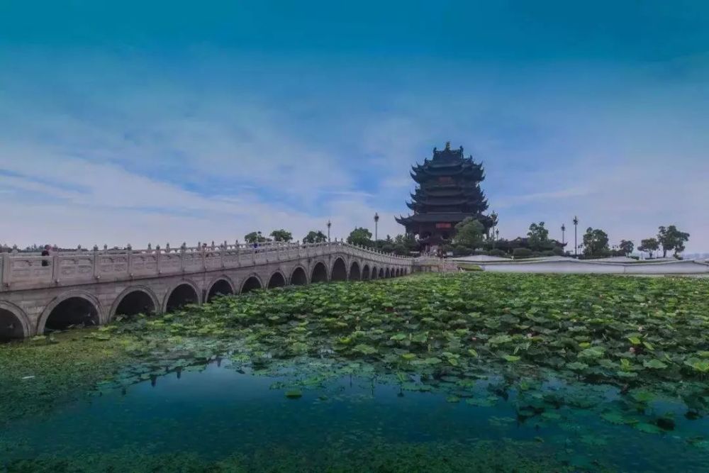 莲池湖公园就在阳澄湖半岛重元寺墙外,接天莲叶甚为壮观,夏天走进湖边