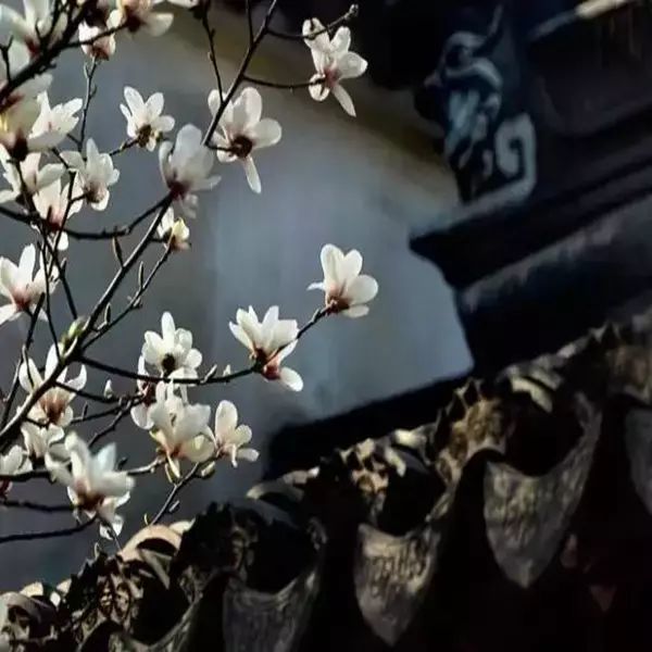 古人有句俗话说,"小人得志便猖狂".