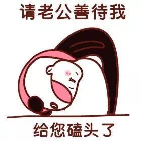 给我买口红表情包:老公好,给您磕头了