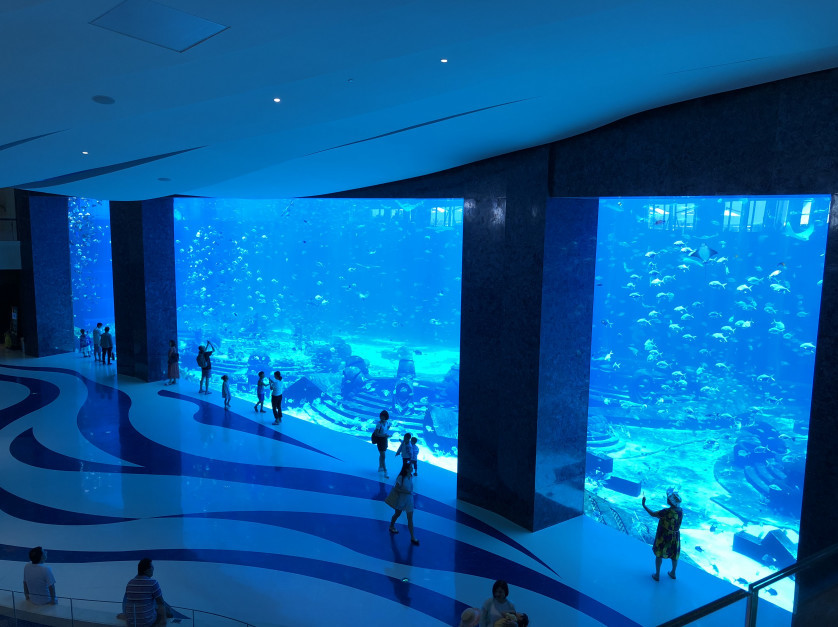 林更新念念不忘,网红们纷纷打卡,都因为三亚的