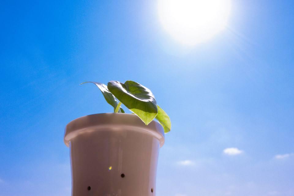 除了《诫子书》外,诸葛亮还有精彩的《诫外甥