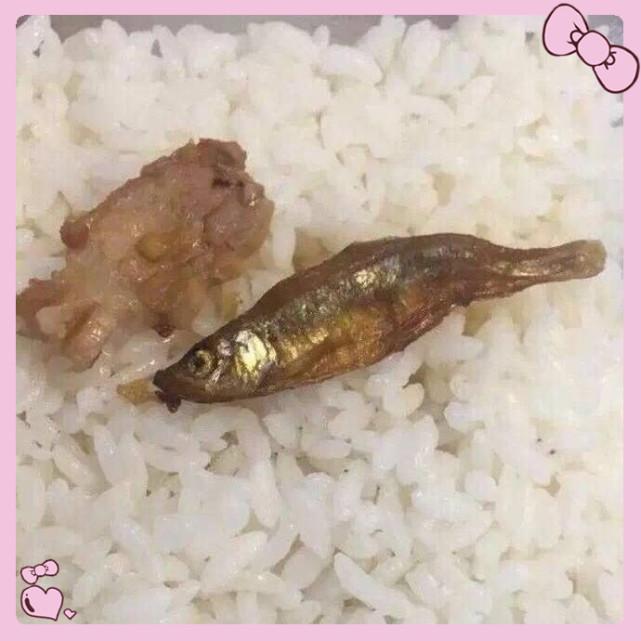 但是即便是穷,小伙伴们也是舍不得委屈自己的,这一大碗米饭上的鱼和肉
