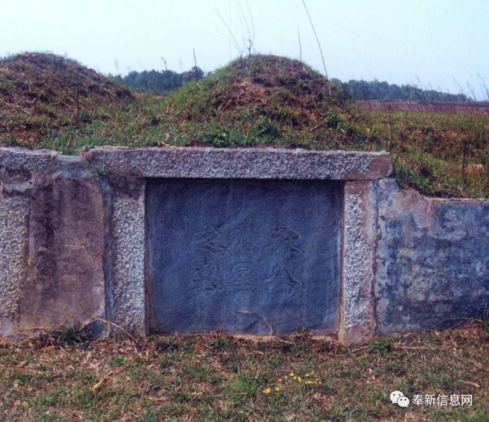 奉新县多少人口_奉新县受伤考生(2)