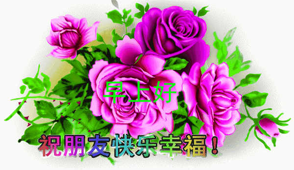 2020正月初九最新漂亮早上好鲜花动态图片 早上好祝福