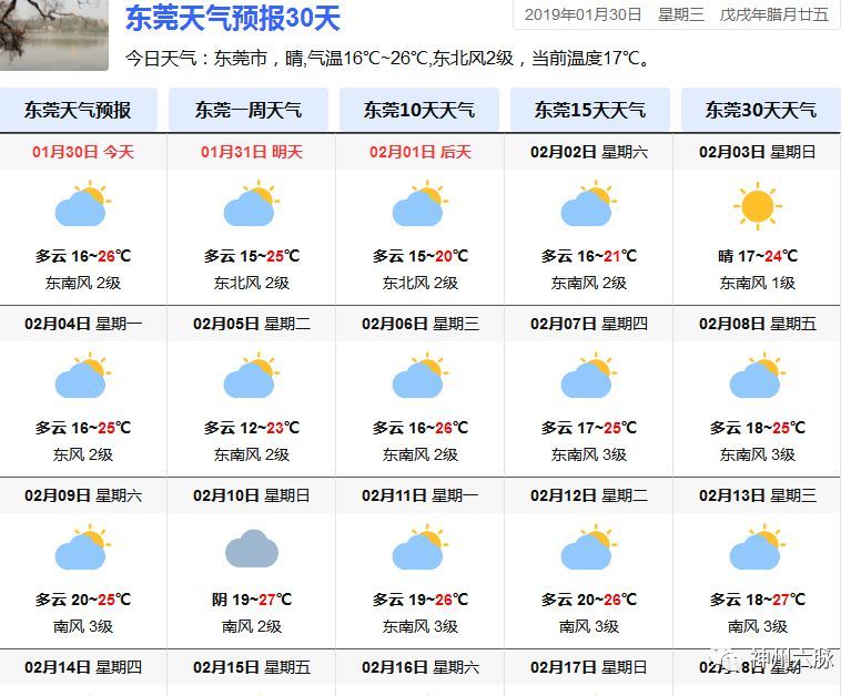 骗你的!最新天气预报是这个!