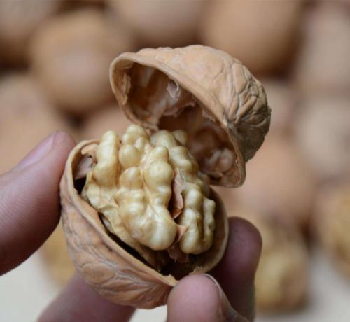 从小听到大的“食物常识”，现在告诉我是假的？这些年都被骗了