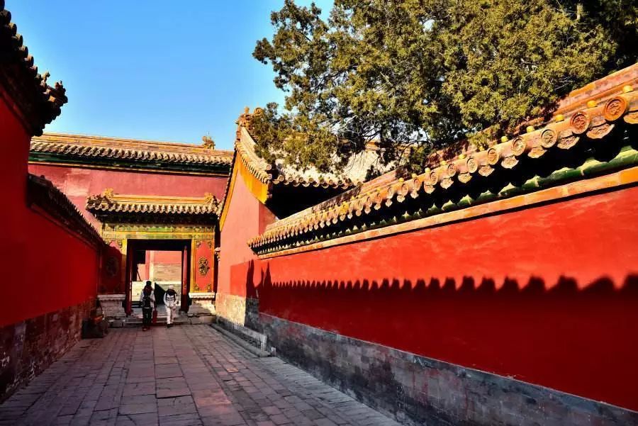 没赶上点亮故宫,你还可以看看紫禁城的规划和