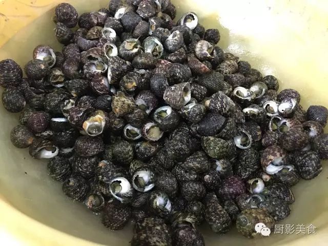 实用螺类食材大全