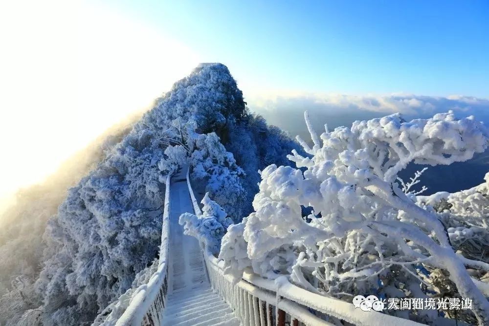 碧水晶莹,山峦起伏,森林密布,冬天的光雾山是一个白色的世界.有多美?