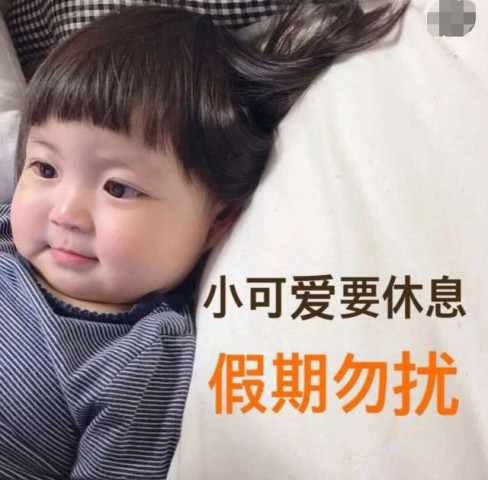 超火罗熙表情包:你的小可爱已放假,请勿打扰
