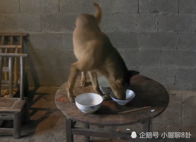 《变形计》农村小孩究竟多邋遢?当看到他逆天的鼻涕时