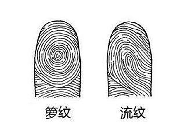 农村人通过观察指纹是斗还是簸箕就能预测贫富?这说法不靠谱