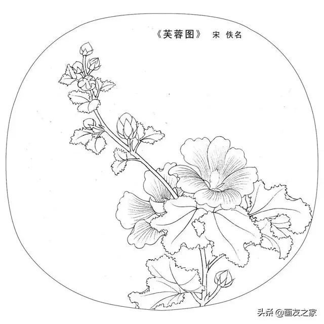 宋画工笔白描,最好的临摹花卉素材