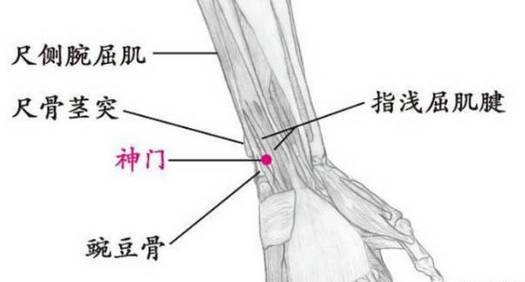 现多用于无脉症,神经衰弱,心绞痛,癔病,舌骨肌麻痹,产后失血,淋巴腺炎