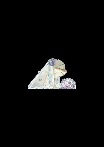 《疯狂动物城》透明情侣头像:没有svip,我们也要享受特权