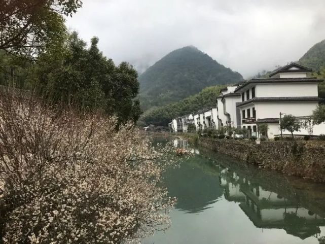 探村泰顺|岭北村尾村,廊桥清溪古道梯田,隐匿深山的避暑天堂