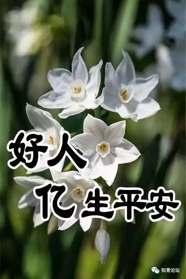 大年初三,祝福送上!不管你身在何方,都祝你平安健康!吉祥如意!