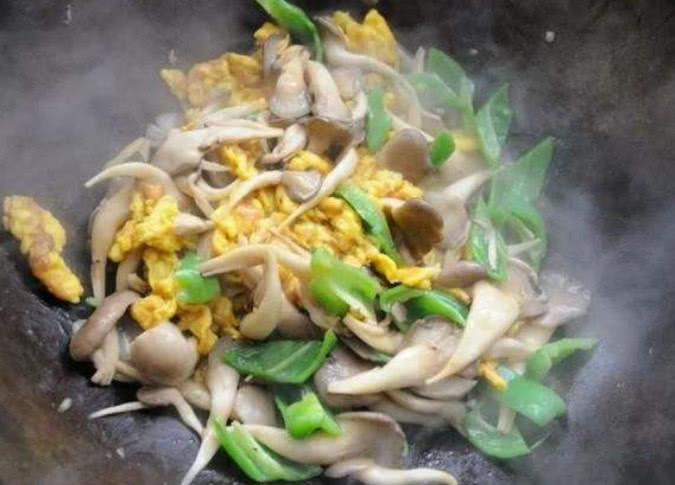蛋和此物一起炒,比肉补气吃,还好胃癌,切除血,肝鸡胸胃全燃烧后能吃脂肪肉吗图片
