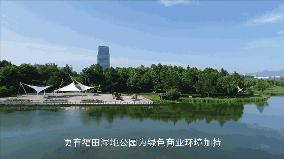 福田"五福,已集齐!