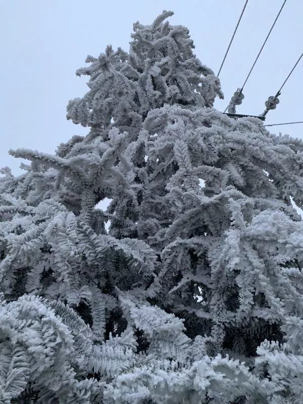 下雪+结冰!襄阳突发多起车祸 今天出门的千万