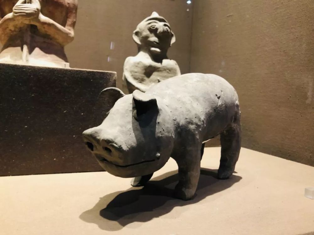 陶猪·成都博物馆