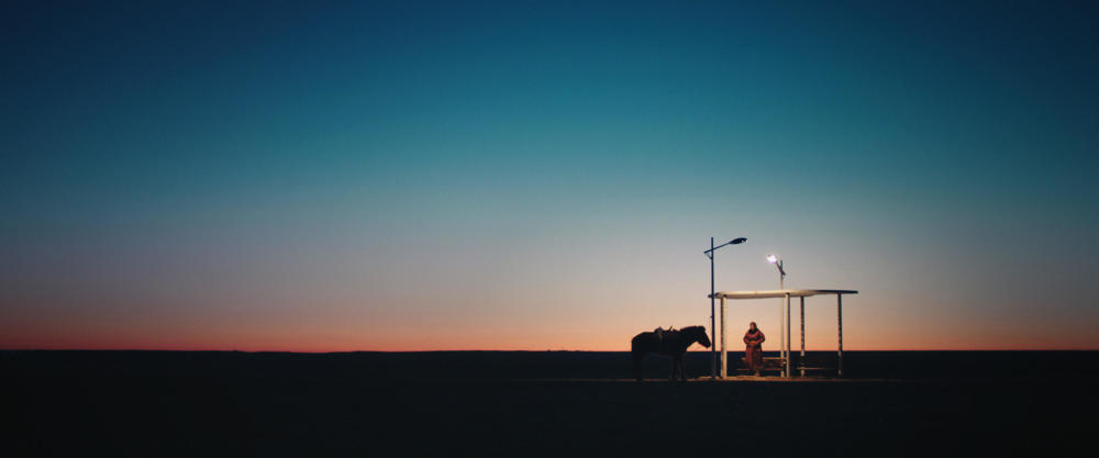 柏林电影节\/\/《恐龙蛋》:王全安终成大师