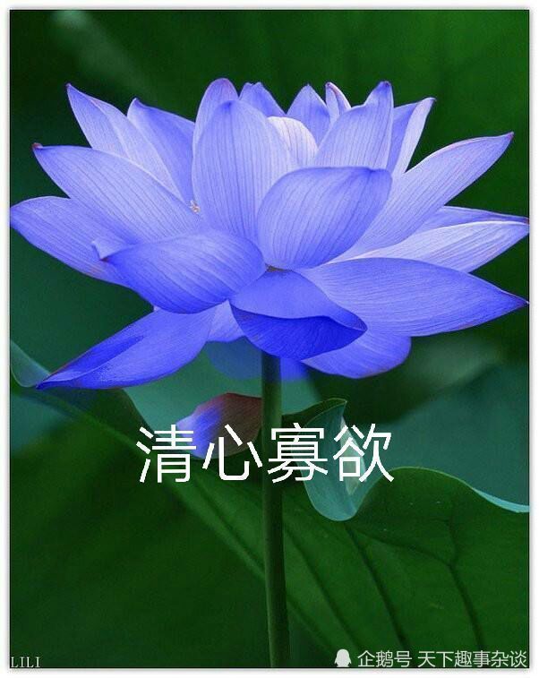 微信头像要慎重!看到第一眼之后就不想加的头像是什么