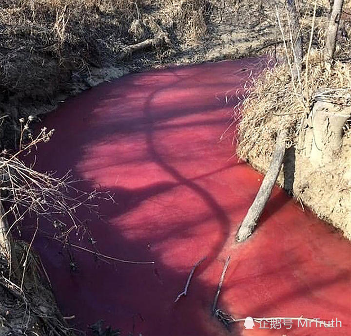 现实版血流成河!俄罗斯惊现"血河"吓坏当地人