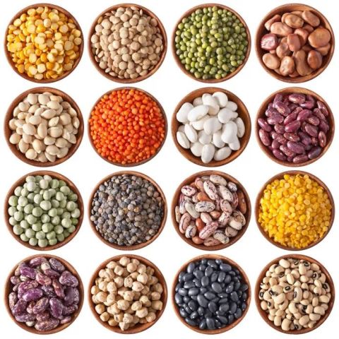 世界豆类日:为什么饮食中要有豆类?
