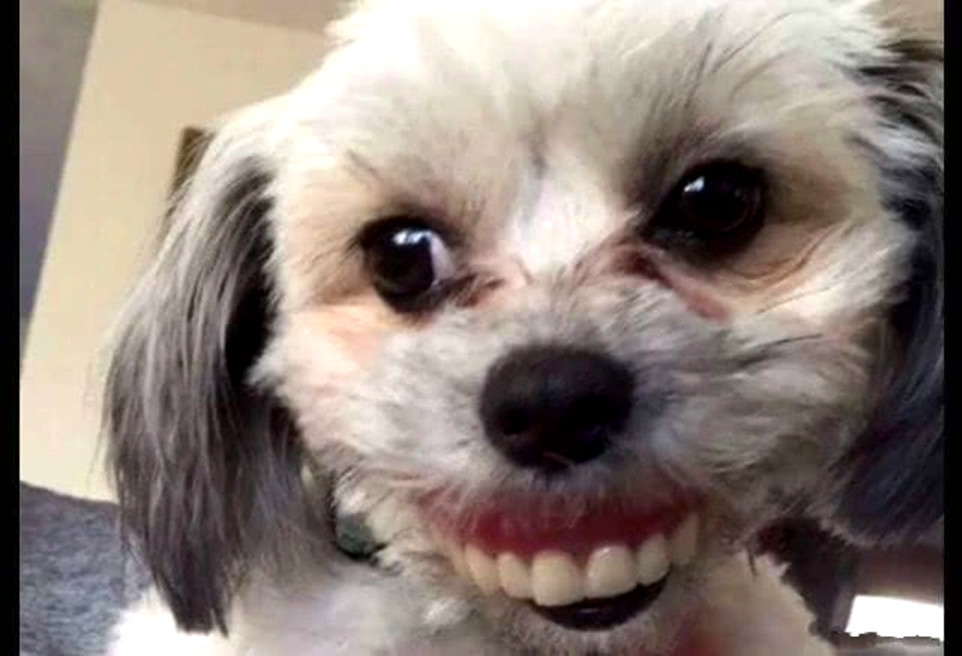 奶奶假牙突然不见了,急得家人一起找,看到在这