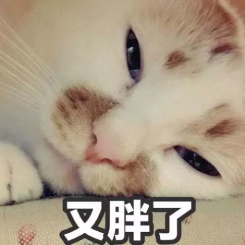 640