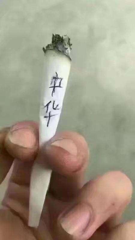 搞笑吃最硬核的午餐看最真实的电视吸最豪华的香烟我美了