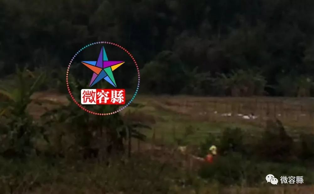 王六村人口_全科王六年级上册数学