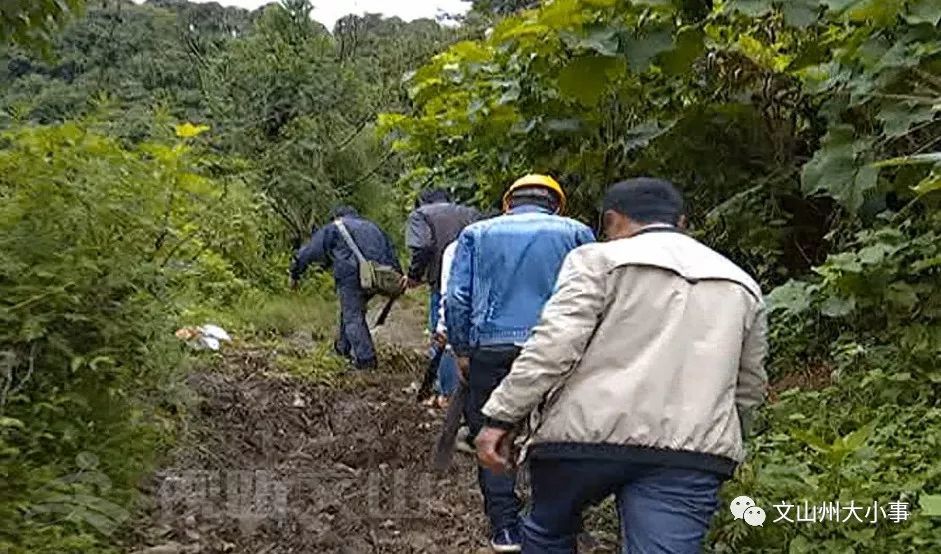 文山市有多少人口_文山市有多少人接种了新冠疫苗 最新数据来了