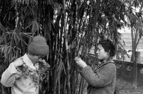 顾城的生活一败涂地,从他的诗里可以找到答案