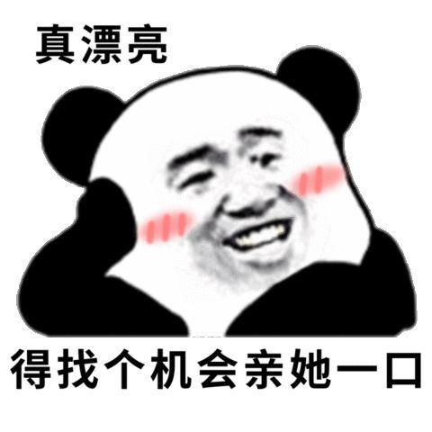 真漂亮得找个机会亲她一口(熊猫头 撩妹表情包)