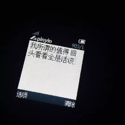 搞笑nokia 诺基亚短信表情包,我所谓的值得,回头看看全是活该