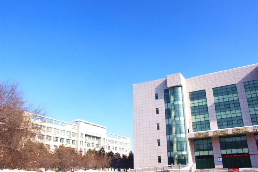 今天在石河子大学,明珠河拍下的这一幕美极了!你看到了吗?