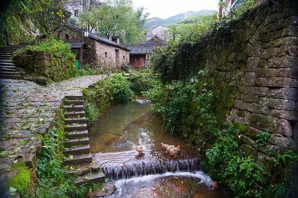 探村台州黄岩半山古村清溪古道梨树石屋静享山居之美