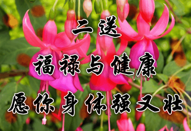 有一种满足,叫相互鼓励, 有一种荣幸,叫一路有你, 有一种问候,叫平安