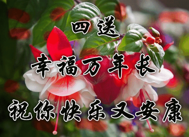 有一种满足,叫相互鼓励, 有一种荣幸,叫一路有你, 有一种问候,叫平安