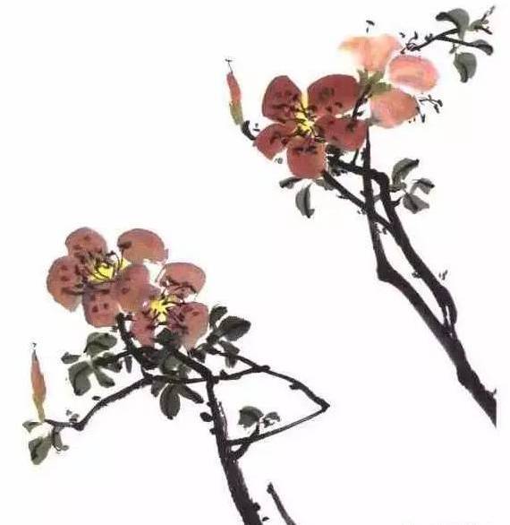 书画鉴赏 杜鹃花的画法