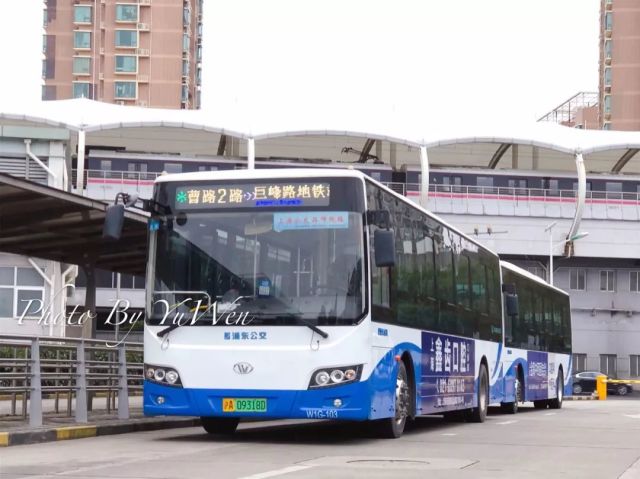 浦东公交线路已简介至50条啦!集中回顾一下吧!